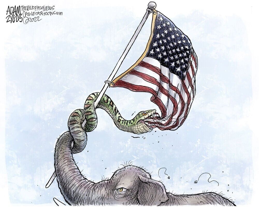 The False Patriot